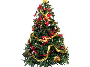 the origin of the christmas tree SePI